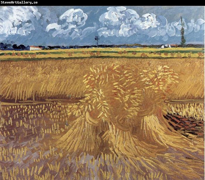 Vincent Van Gogh Wheat Field